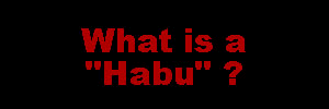 What is a habu?